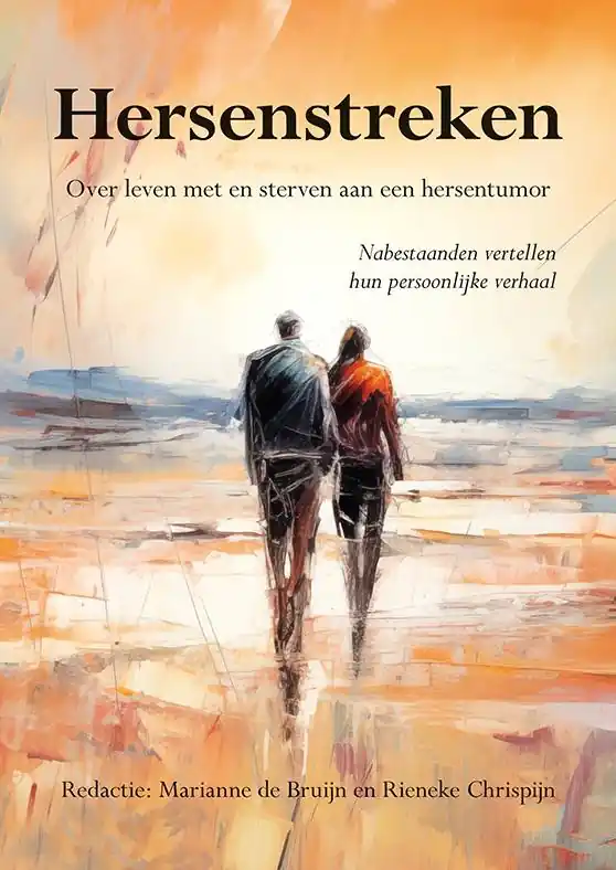 Beste Prijs Hersenstreken / Druk 1