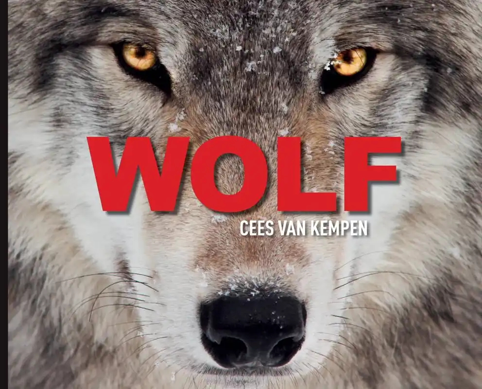 Superprijs Wolf / Druk 1