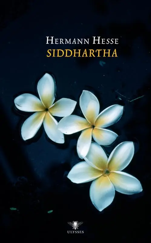 Hete Deal Siddhartha - Hermann Hesse