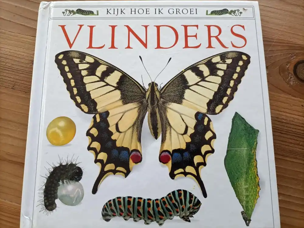 Flitsaanbieding Kyk hoe ik groei vlinders - Ling