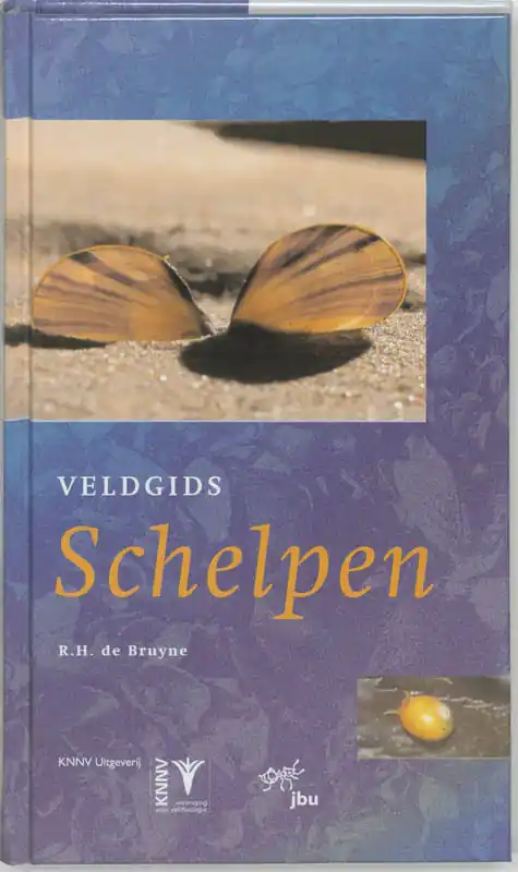 Gereduceerde Prijs Schelpen - Rykel de Bruyne