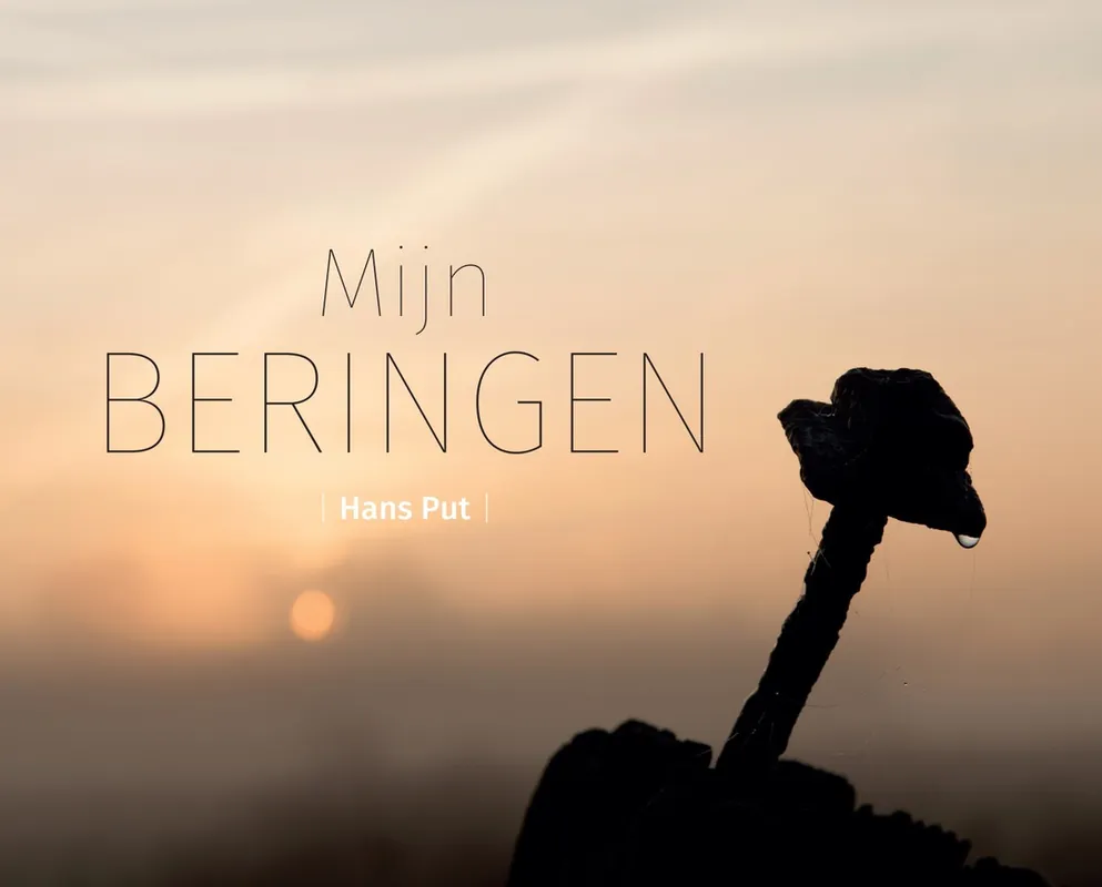 Mijn Beringen - Hans Put Tijdelijk Beschikbaar
