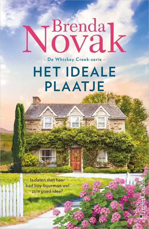 Goedkoop Het ideale plaatje - Brenda Novak