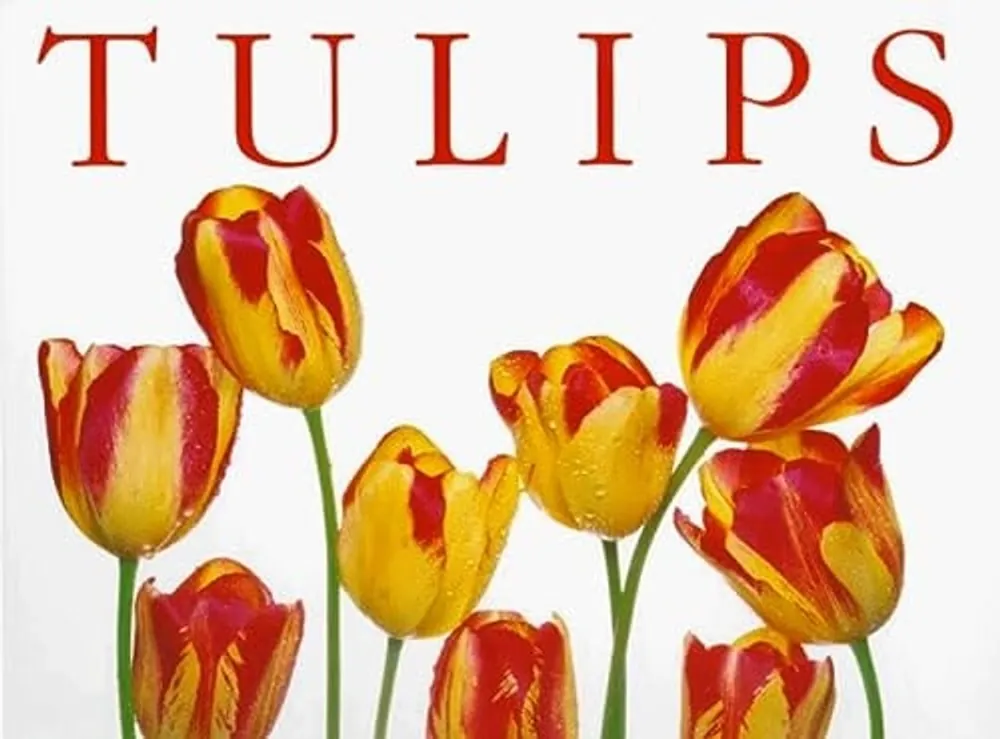 Tulips - Peter Arnold Beste Prijs