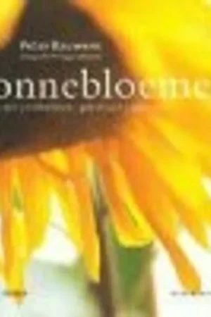 Zonnebloemen - Peter Bauwens Beste Prijs