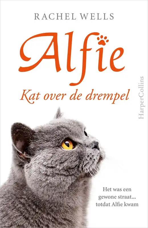 Dagaanbieding Kat over de drempel - Rachel Wells