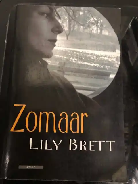 Nieuw Zomaar - Lily Brett