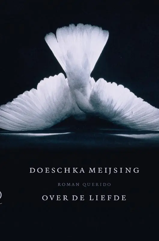 Direct Beschikbaar Over de liefde - Doeschka Meijsing