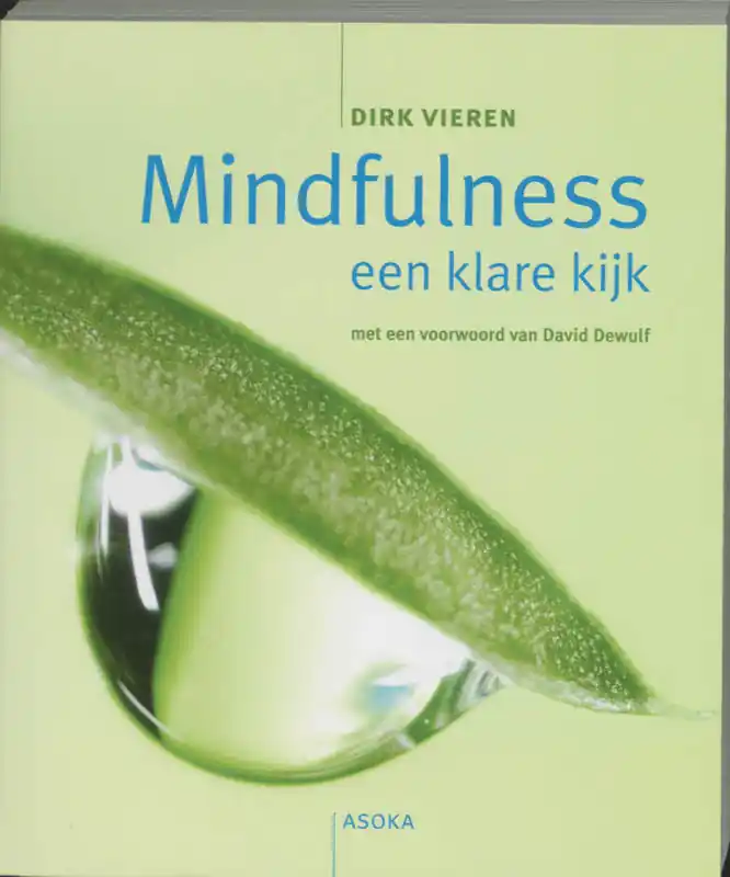 Superprijs Mindfulness, een klare kijk - D. Vieren