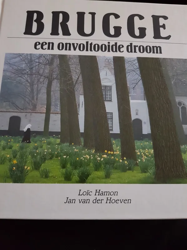 Brugge een onvoltooide droom - Loic Hamon /Van der Hoeven Alleen Vandaag