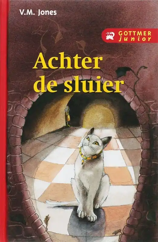Uitverkoop 2 Achter de sluier - V.M. Jones