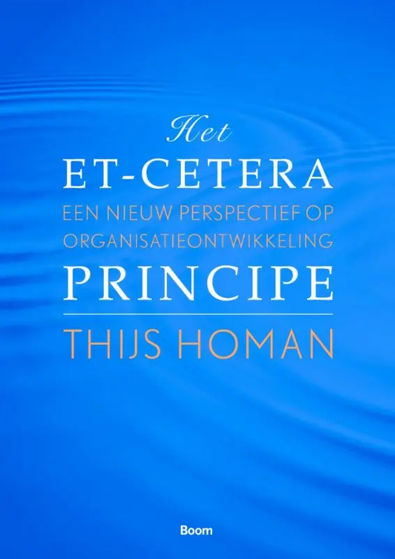Beste Prijs Het etcetera-principe - Thijs Homan
