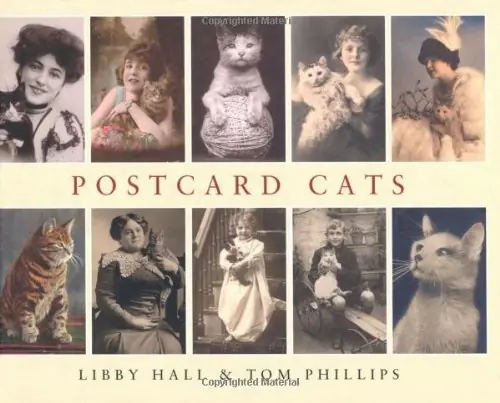Weekendaanbieding Postcard Cats - Libby HALL; Tom PHILIPS
