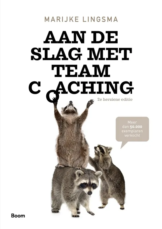 Aan de slag met teamcoaching - Marijke Lingsma Gratis Verzending