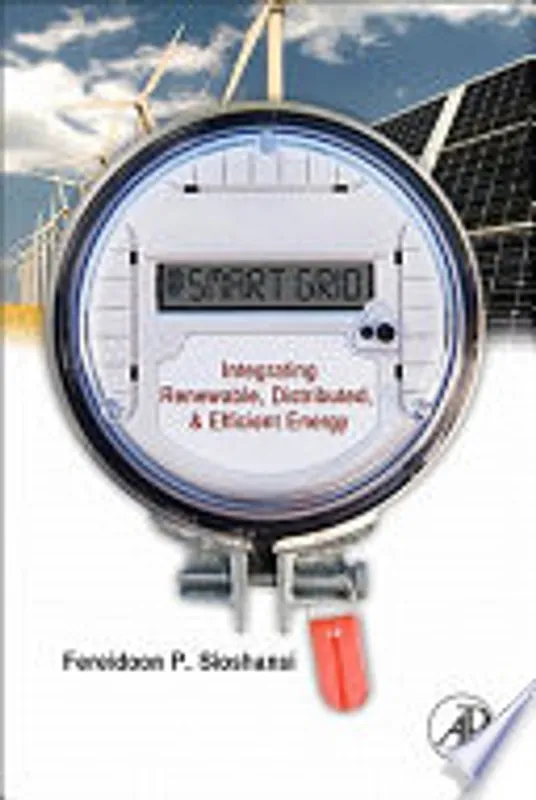 Smart Grid - Fereidoon Perry Sioshansi Direct Beschikbaar