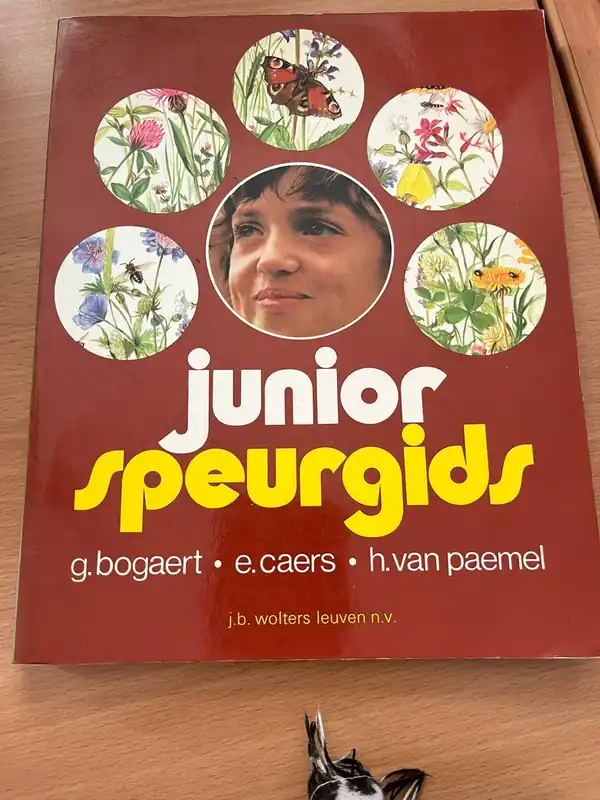 Junior sperugids - Bogaert Koop Vandaag