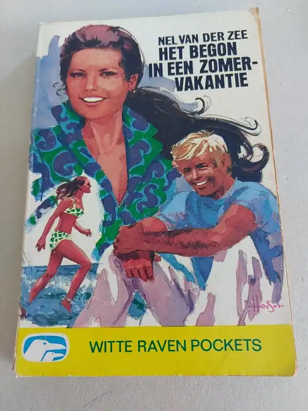 Koop Vandaag Het begon in een zomervakantie - Bel Van Der Zee