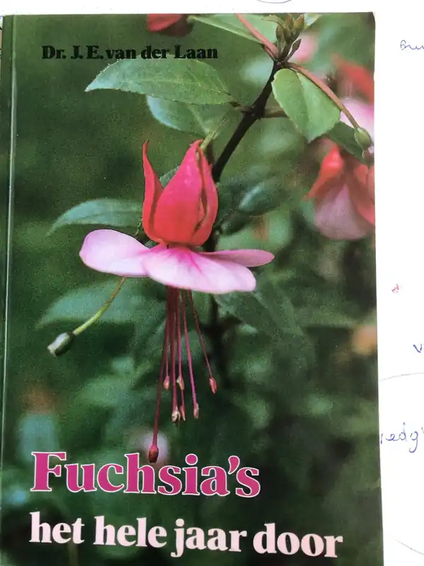 Fuchsia's het hele jaar door - Laan Nu Kopen