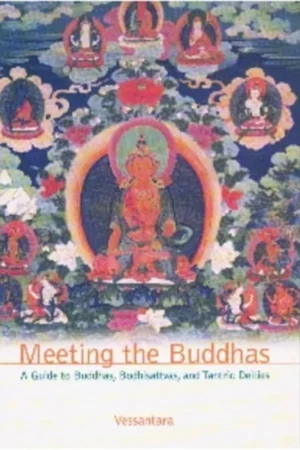 Beperkt Aanbod Meeting the Buddhas: A Guide to Buddhas, Bodhisattvas, and Tantric Deities - Vessantara (Tony McMahon)