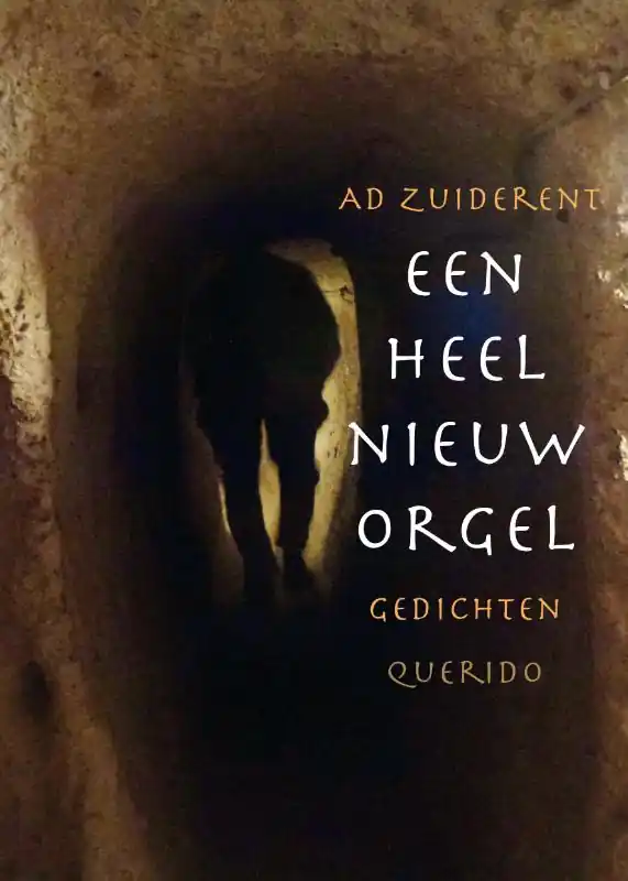 Korting Een heel nieuw orgel - Ad Zuiderent