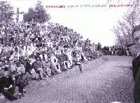 Koop Vandaag Wielervolk - M. Steculorum