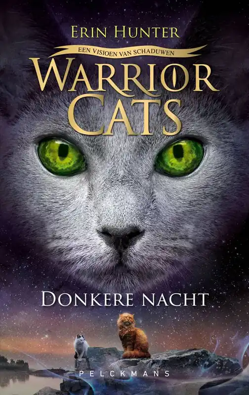 Een visioen van schaduwen: 4 Donkere nacht / Druk 1 Koop Online