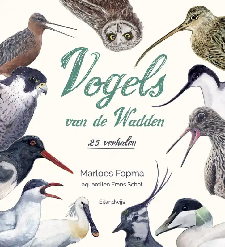 Vogels van de Wadden / Druk 1 Merkproduct