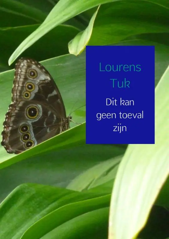 Dit kan geen toeval zijn / Druk 3 Populair