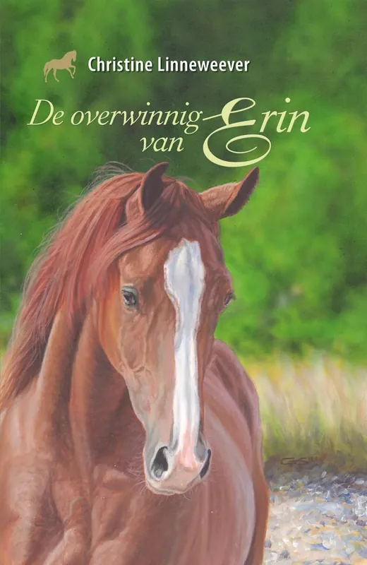 Hoge Kwaliteit De overwinning van Erin / Druk 3