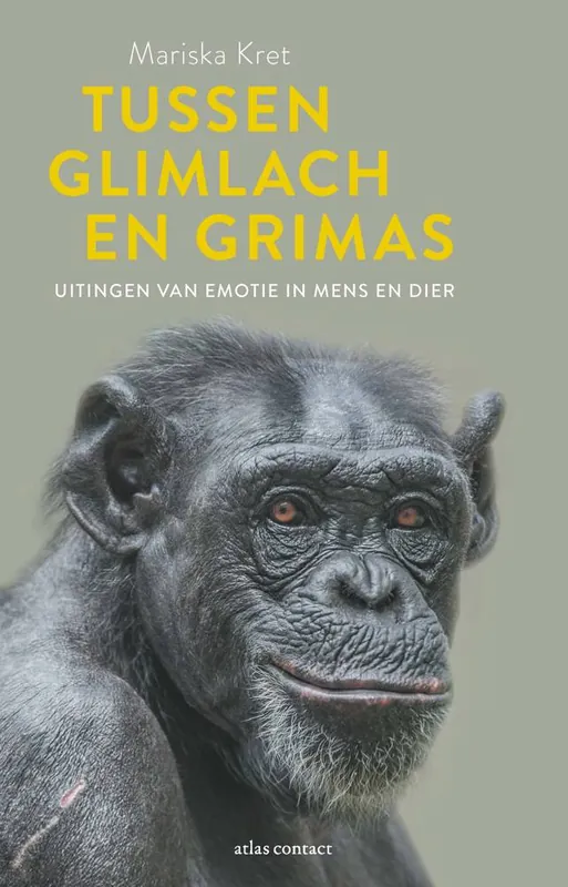 Tussen glimlach en grimas / Druk 1 Premium