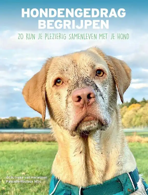 Snelle Levering Hondengedrag begrijpen / Druk 2