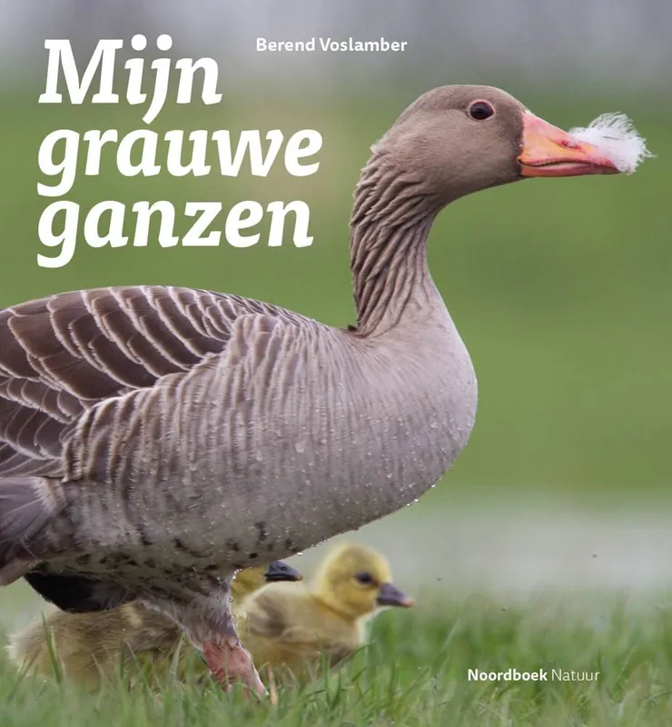 Mijn grauwe ganzen / Druk 1 Superprijs