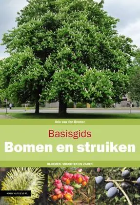 Basisgids Bomen en struiken / Druk 2 Betrouwbaar