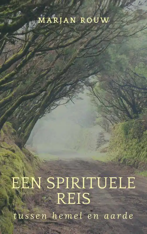 Aanbieding Een spirituele reis tussen hemel en aarde / Druk 2
