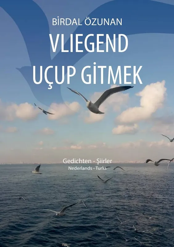 Snelle Levering Vliegend uçup gitmek / Druk 1