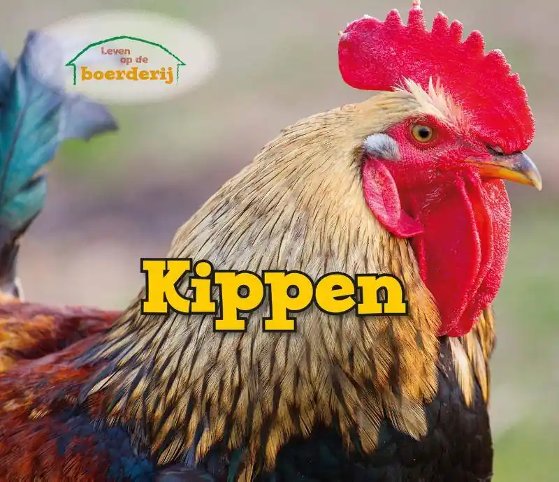 Seizoensaanbieding Kippen / Druk 1