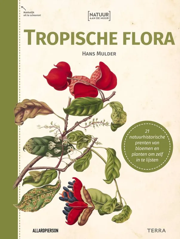 Natuur aan de muur - Tropische Flora / Druk 1 Hete Deal