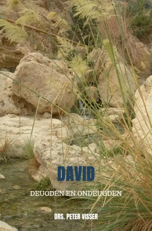 David / Druk 1 Koopje