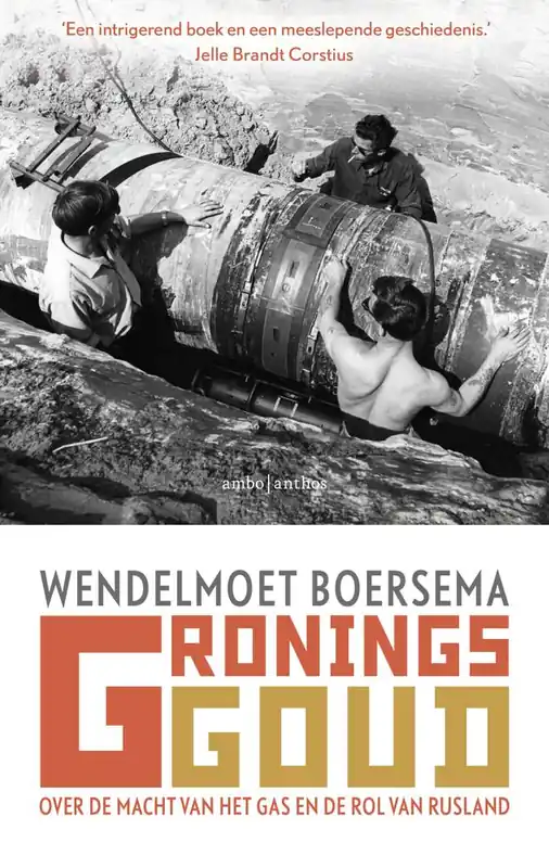 Gronings goud / Druk 7 Koop Vandaag