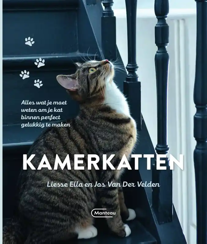 Fabrieksprijs Kamerkatten / Druk 1