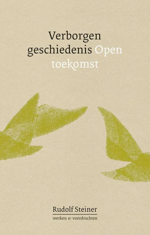 Lage Kosten Verborgen geschiedenis, open toekomst / Druk 1
