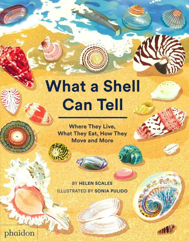 Nieuw What A Shell Can Tell
