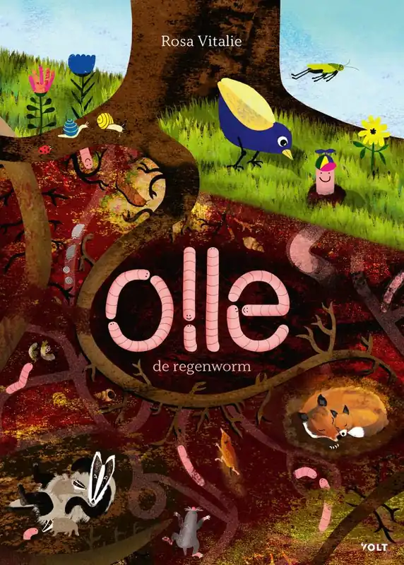 Olle de regenworm / Druk 1 Korting