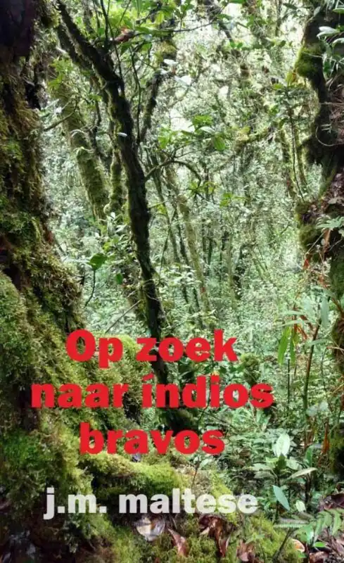 Op zoek naar indios bravos / Druk 1 Snelle Levering