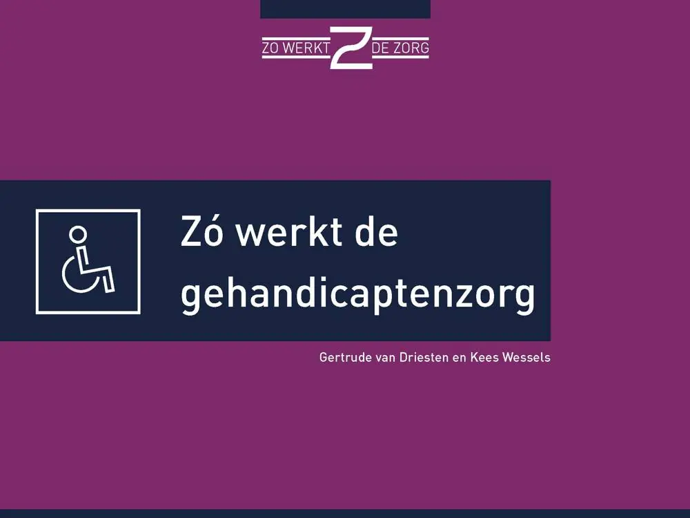 Direct Beschikbaar Zó werkt de gehandicaptenzorg / Druk 1
