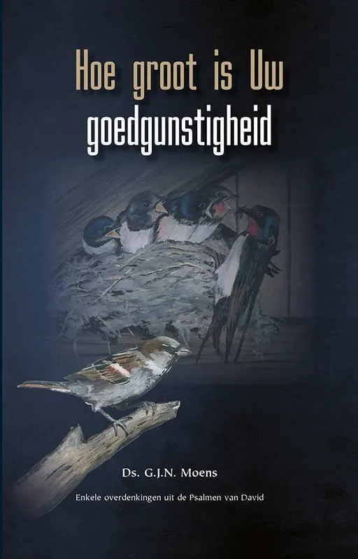 Nieuw Hoe groot is Uw goedgunstigheid / Druk 1