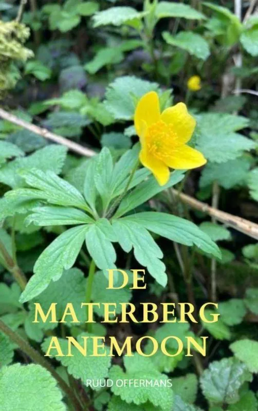 Beste Prijs De Materberg anemoon / Druk 1